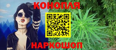 твердый Будённовск