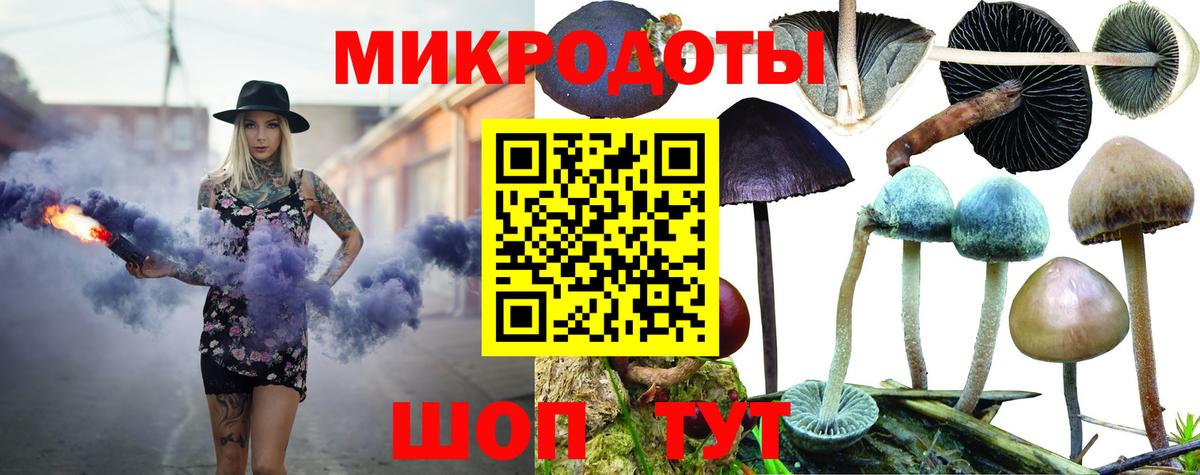 Аша  Галлюциногенные грибы GOLDEN TEACHER  Вход с VPN 